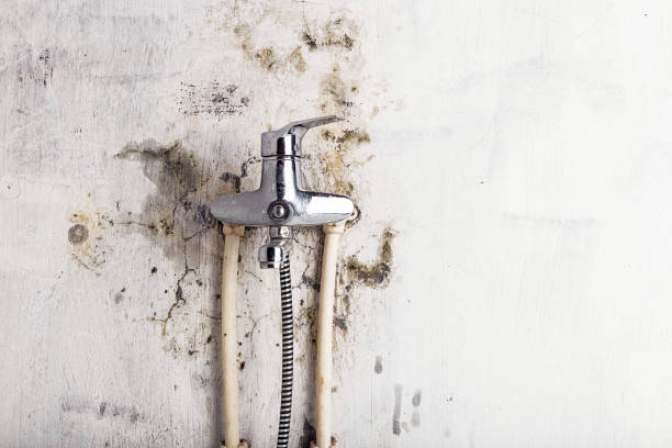 North Riverside, IL Mold Remediation Company
